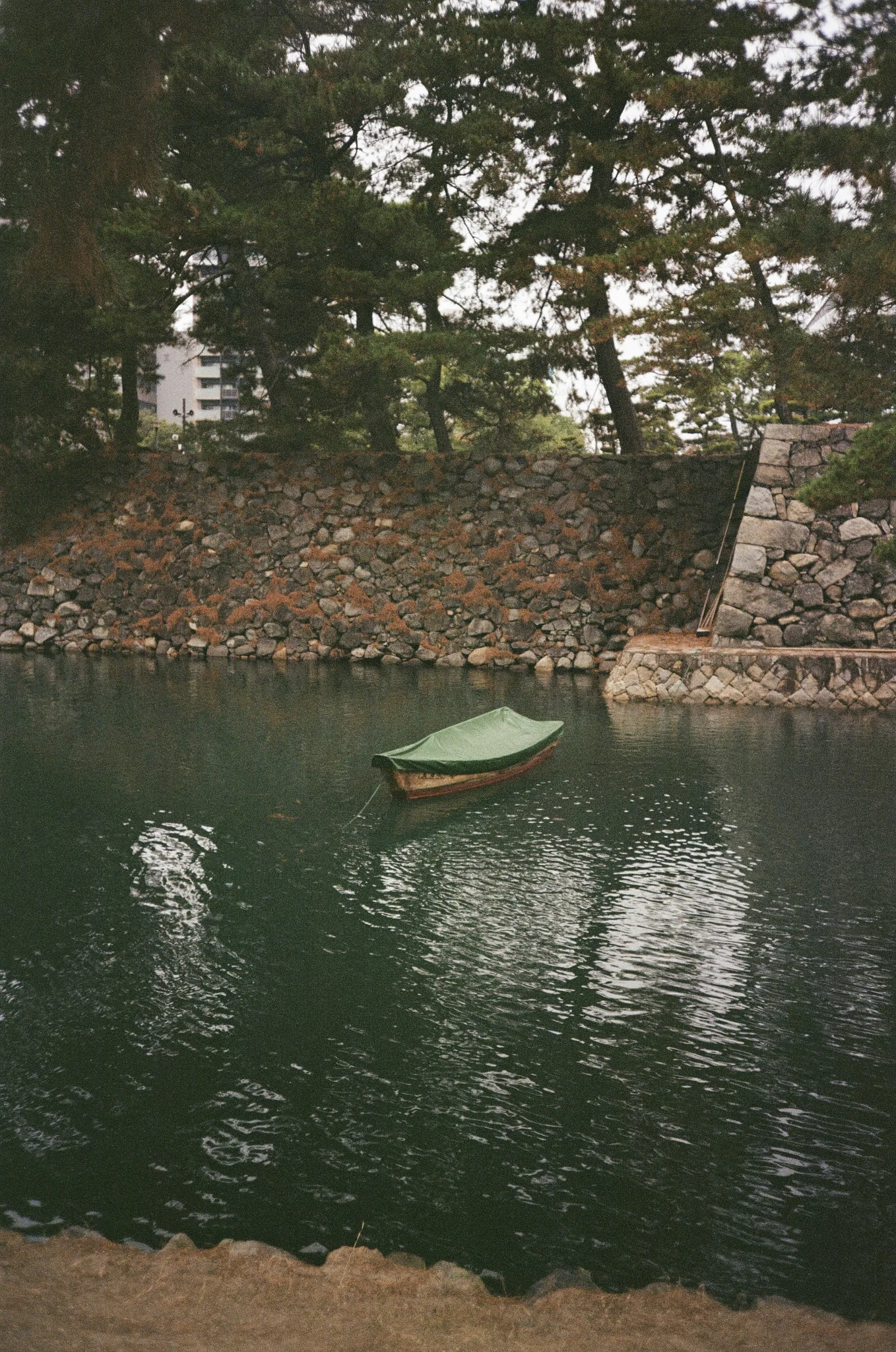 Lil Green Boat