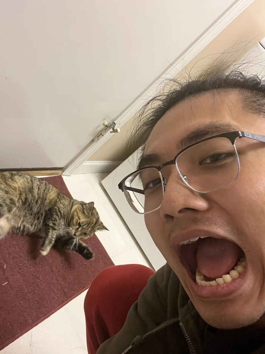 Meow